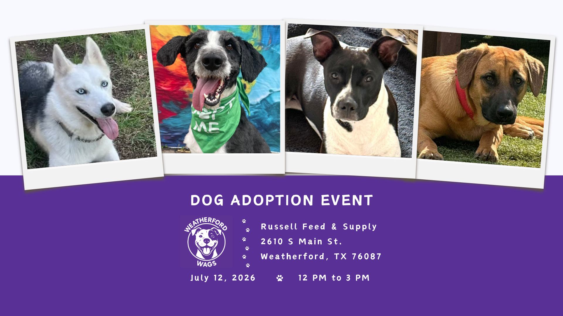 Dog adoption event at Russell Feed & Supply in Weatherford.