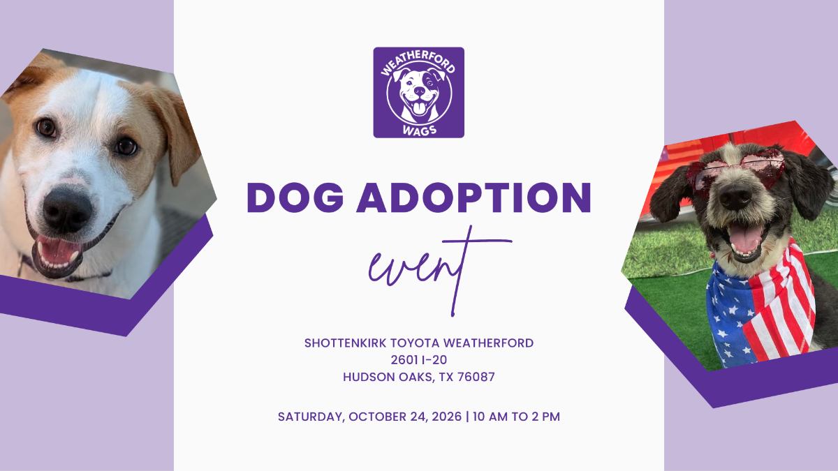 Dog adoption event at Shottenkirk Toyota in Weatherford.