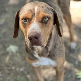 Photo of Ocho.